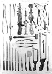 32 anatomie