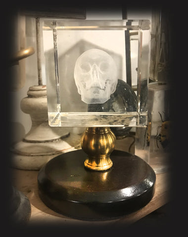 curiosité tête de mort hologramme dans bloc cristal