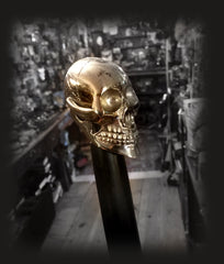 steampunk/canne 7