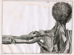 69 anatomie